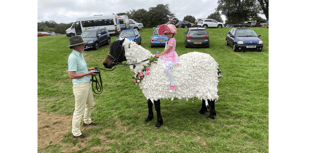 Readers Pictures: Is it a bird? A plane, a horse or a sheep?