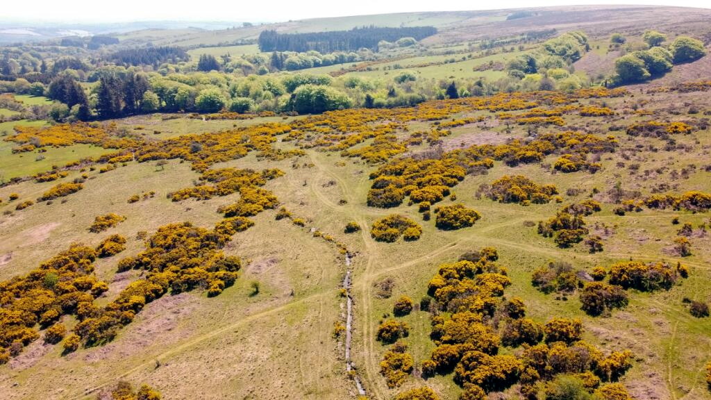 Local property co-op preps for AGM