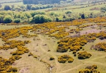 Dartmoor plot on sale for £1.3 million