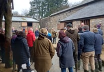 Free support sessions for Dartmoor farmers