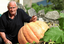 Roger’s smashing pumpkins are a hit