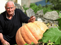 Roger’s smashing pumpkins are a hit