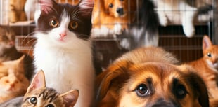 Pets galore welcome at Pet Day