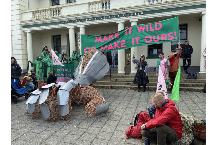 'Make it wild or make it ours' say Dartmoor campaigners