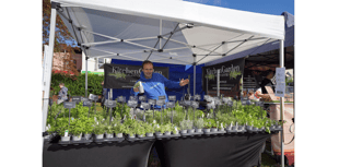Fun for foodies at Dawlish festival
