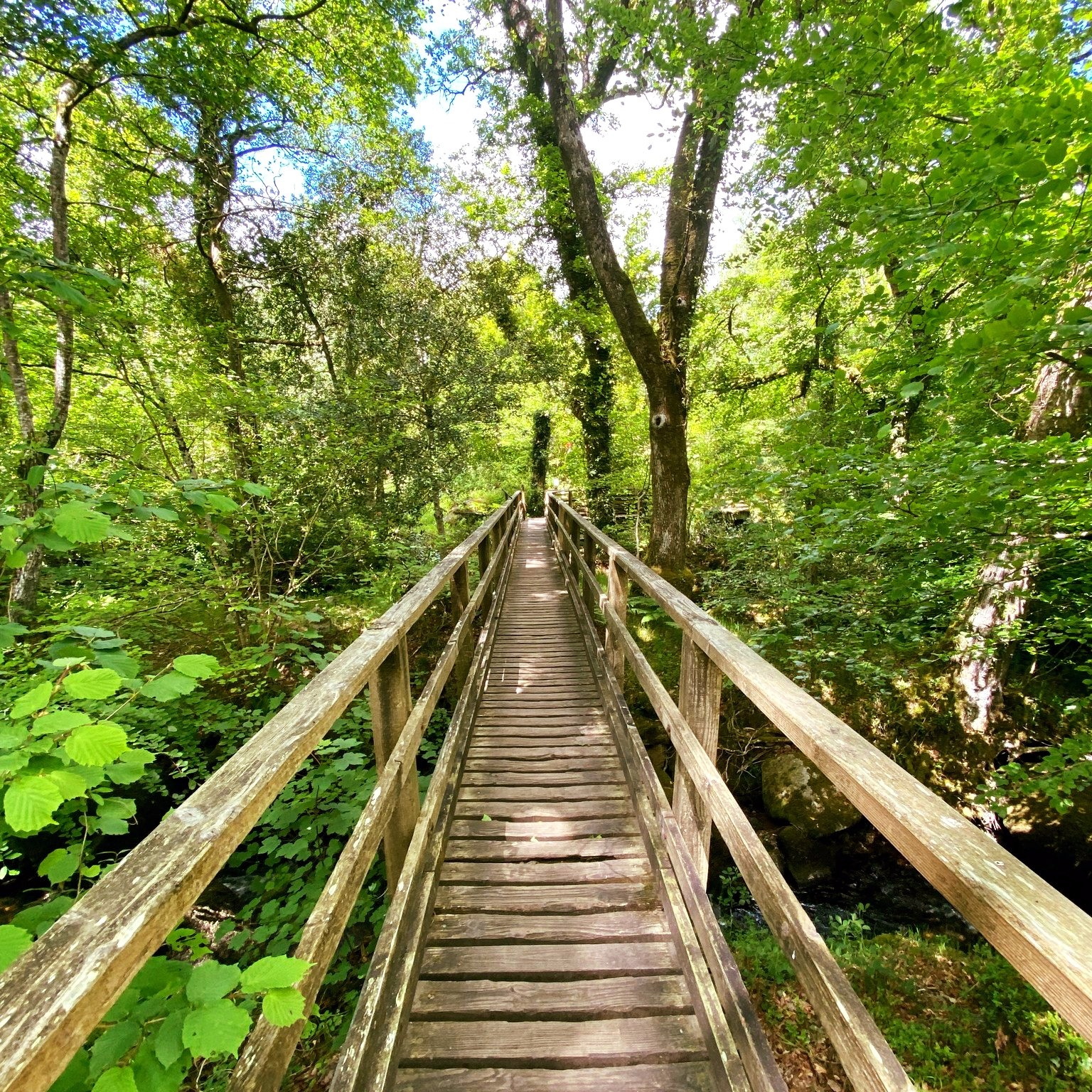 Becky Falls in line for conservation award
