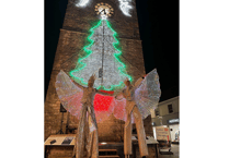 Lights to shine bright as Newton’s annual seasonal glow gets underway