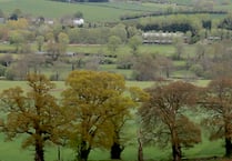 Devon’s Free Tree Scheme 'em-barks' on its fifth season
