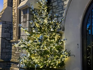 Special tree gives chance for remembrance
