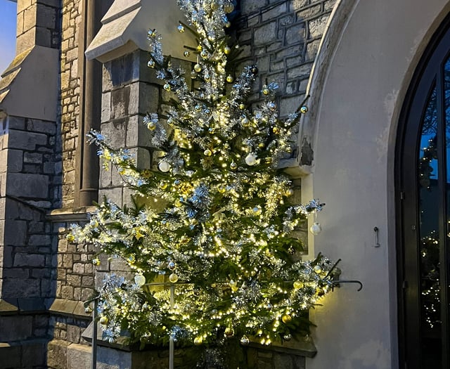 Special tree gives chance for remembrance