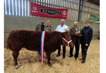 Newton Abbot Winter Show: Prime-stock show notches up 101 years