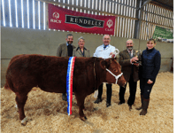 Newton Abbot Winter Show: Prime-stock show notches up 101 years