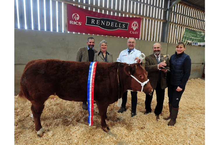Cattle show champion. From left: Judges Nigel and Elizabeth Bunkham, Chris Eddy with Mars,
show president Roger Mills and Catherine Causey from sponsors WBW Solicitors