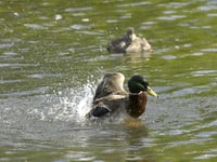 Almost 200 water pollution incidents in Teignbridge since 2018