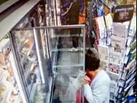 Police powerless to stop shoplifters