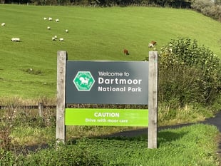 Review provides recommendations for protected sites on Dartmoor
