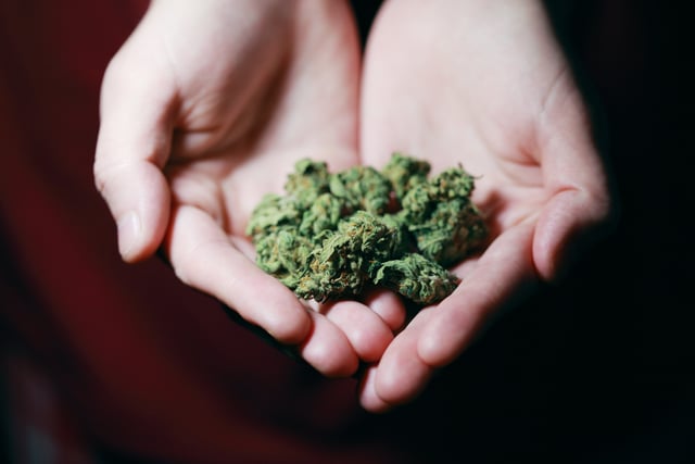 16-year-old boy ran £100,000 online cannabis shop
