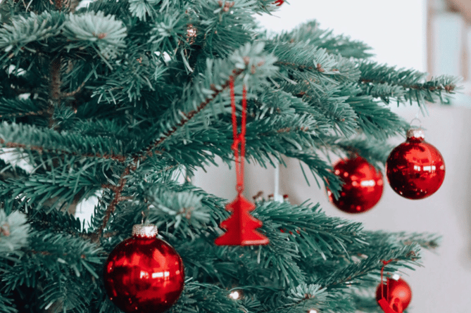 Christmas tree stock image 