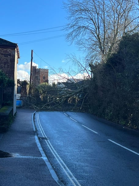 Andy Lidford's photo shows the fallen tree affecting Exminster 