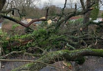 Storm Henk hits Teignbridge 
