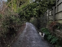 Yellow weather warning in force 