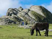 Dartmoor rangers to trial body-cams after anti-social behaviour