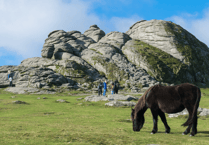 Dartmoor authority announces new partnership board