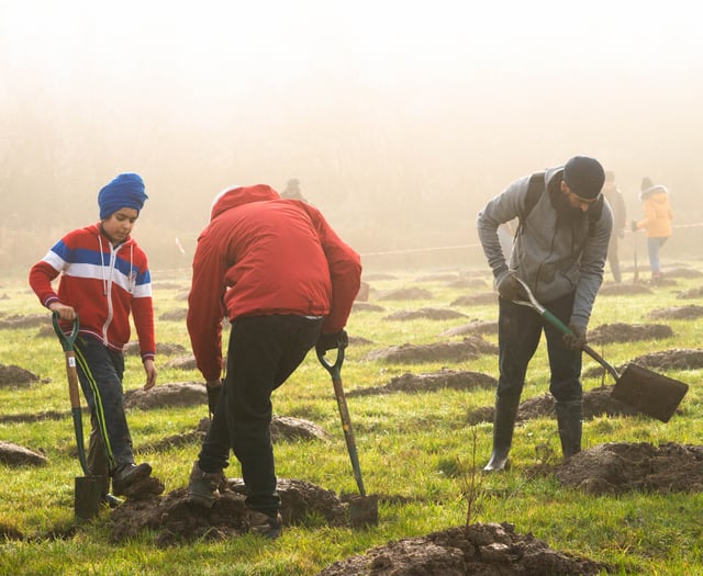Still time to apply for free trees 