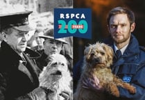 RSPCA rehomes 7,000 Devon animals in 10 years 