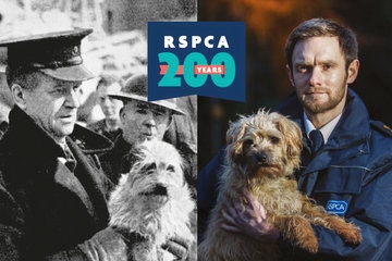 RSPCA 200th anniversary 