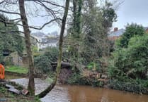 Dawlish residents demand bridge return