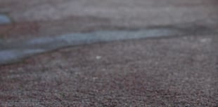 Councillors issue rallying cry for road warden volunteers