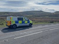 Police issue warning over livestock worrying 