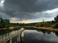 New report warns of Devon drought in 2026 without wet winter