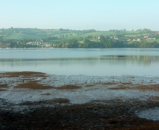 New bacteria ‘threat’ detected in River Teign