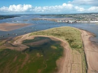 Council strategy aims to protect Dawlish Warren wildlife