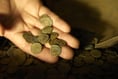 More than a dozen treasure finds reported in Exeter and Greater Devon last year