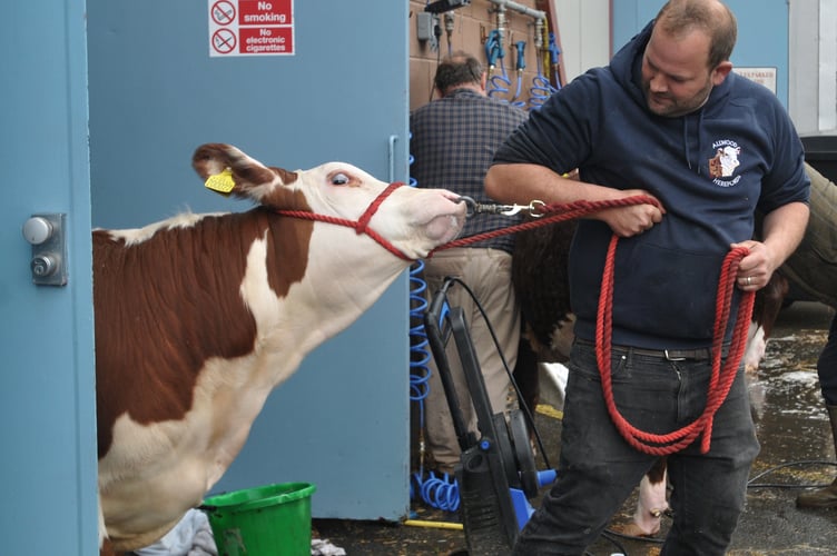 Devon County Show