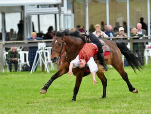 Ultimate horsepower at Devon County Show