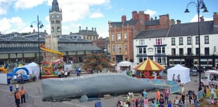 Whale to land in Dawlish 