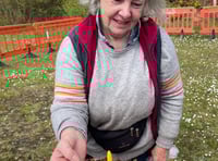 Bid to save endangered plant 