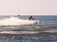 Speeding watercraft stopped in Exe estuary 