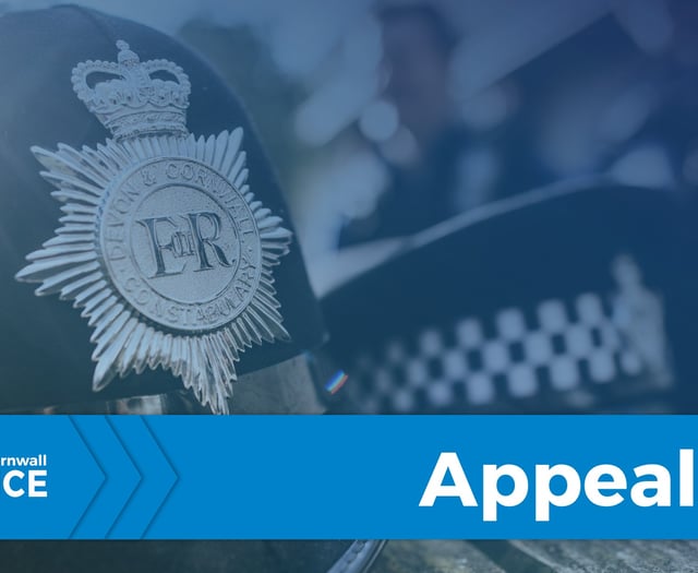 Appeal for information following thefts from cars