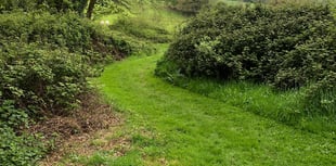 Go wild in Ogwell's wildlife haven 