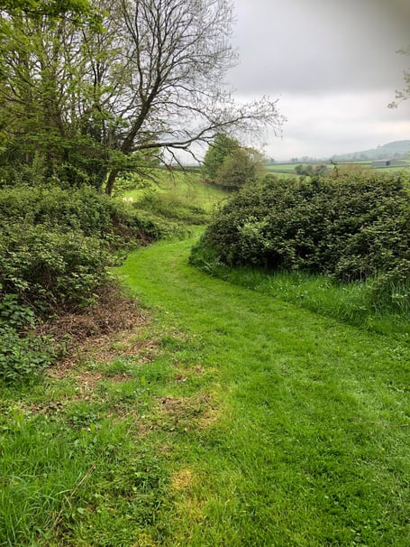 Rectory Field, Ogwell 