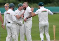 Tolchards Devon Cricket League weekend preview 03/08