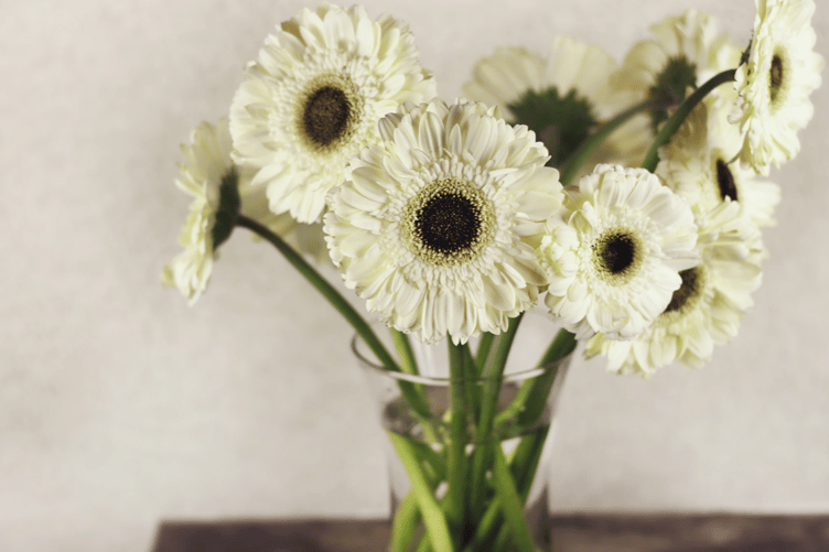 Flowers stock image