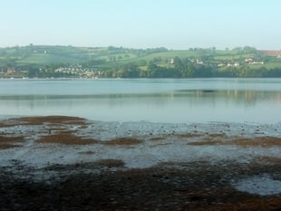 Fresh council demands over Teign sewage 