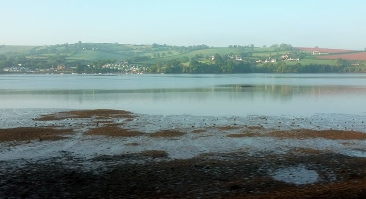 Teign estuary, Photo Derek Harper