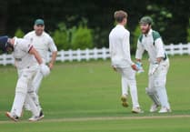 Tolchards Devon Cricket League weekend preview 17/08
